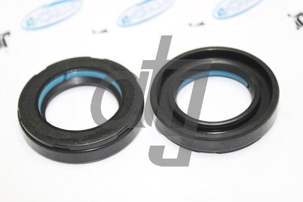 Power steering oil seal