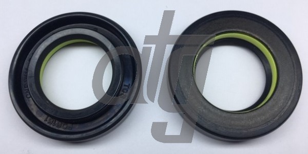 Power steering oil seal