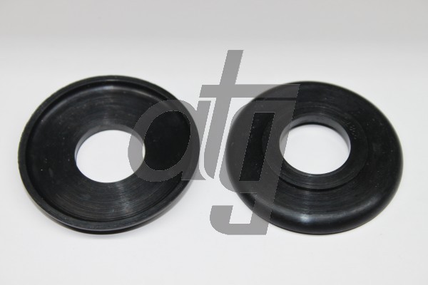 Power steering oil seal