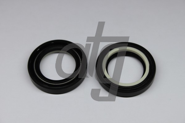 Power steering oil seal