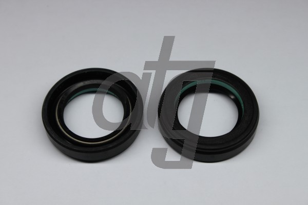 Power steering oil seal