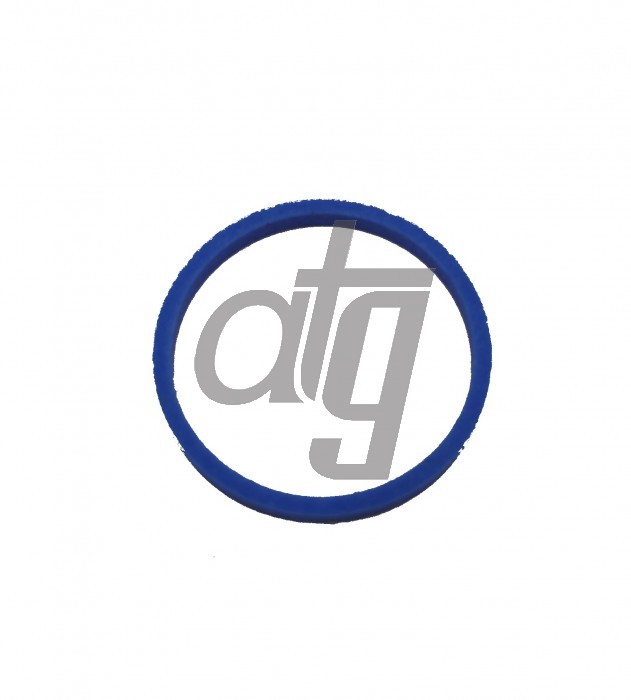 PTFE ring