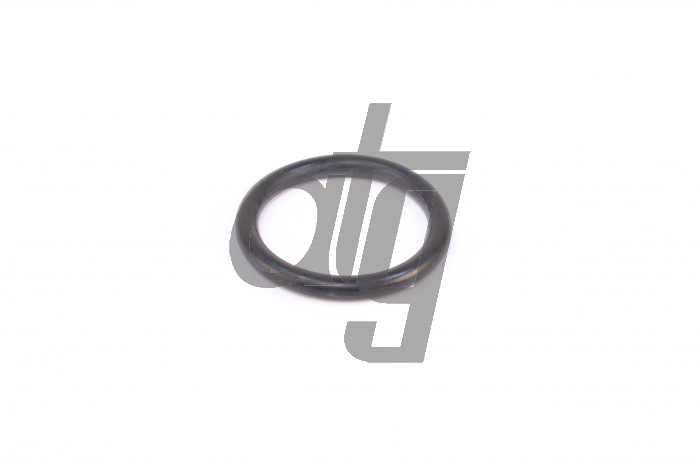 O-ring