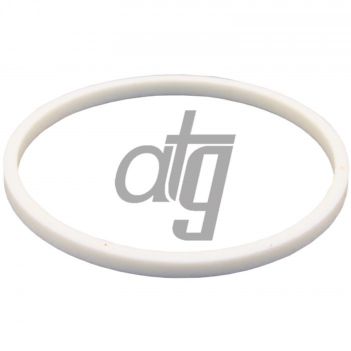 PTFE ring