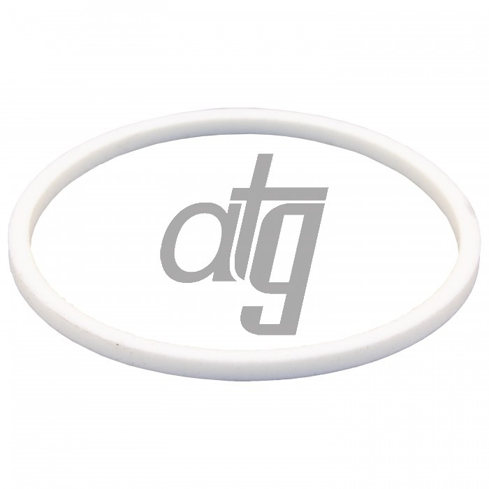 PTFE ring