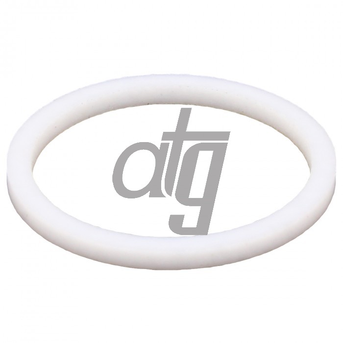PTFE ring