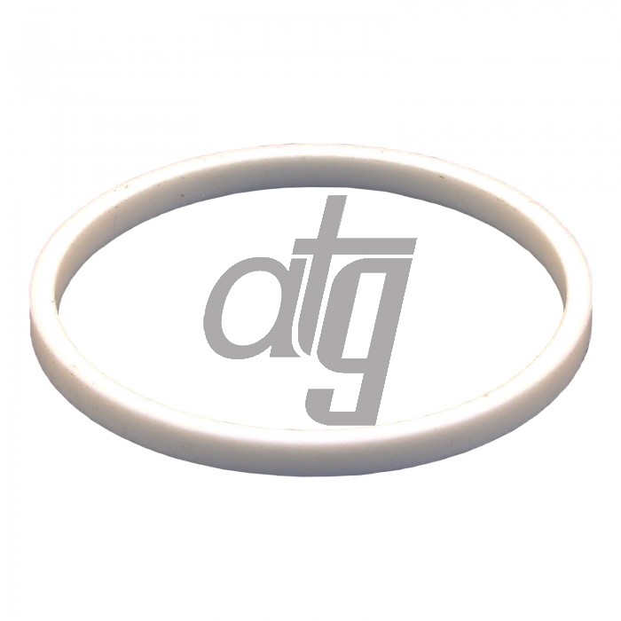 PTFE ring
