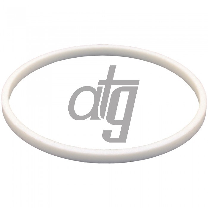 PTFE ring
