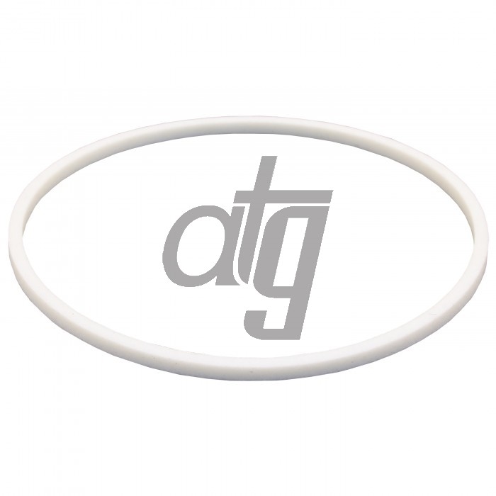 PTFE ring
