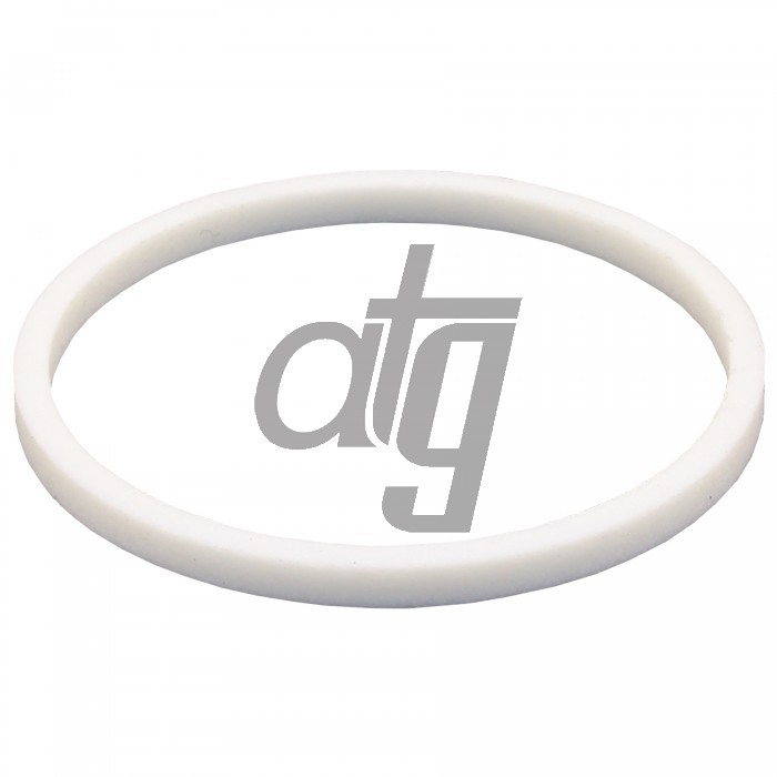 PTFE ring