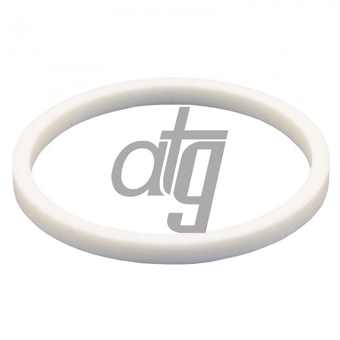 PTFE ring