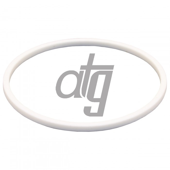 PTFE ring