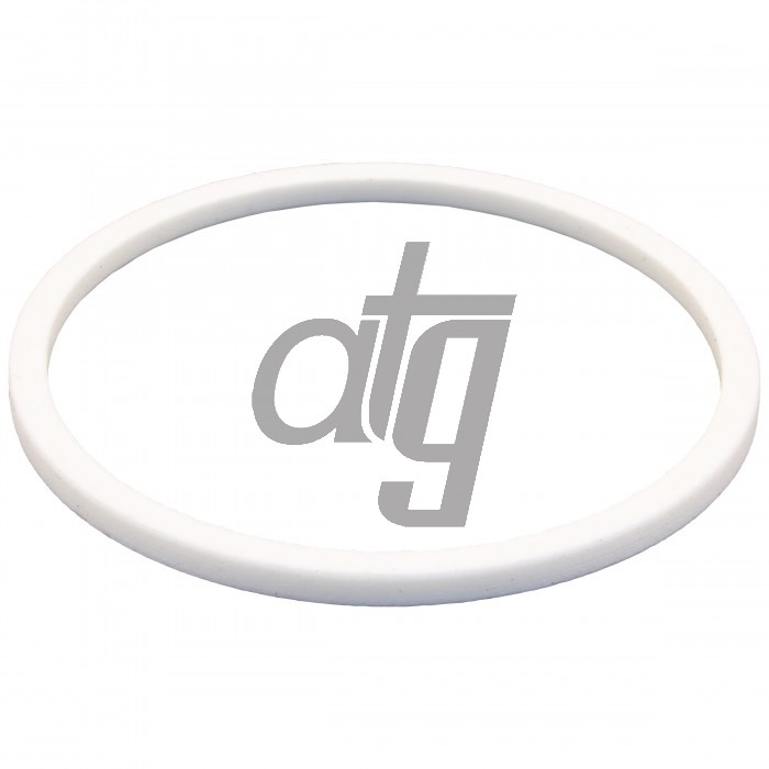 PTFE ring