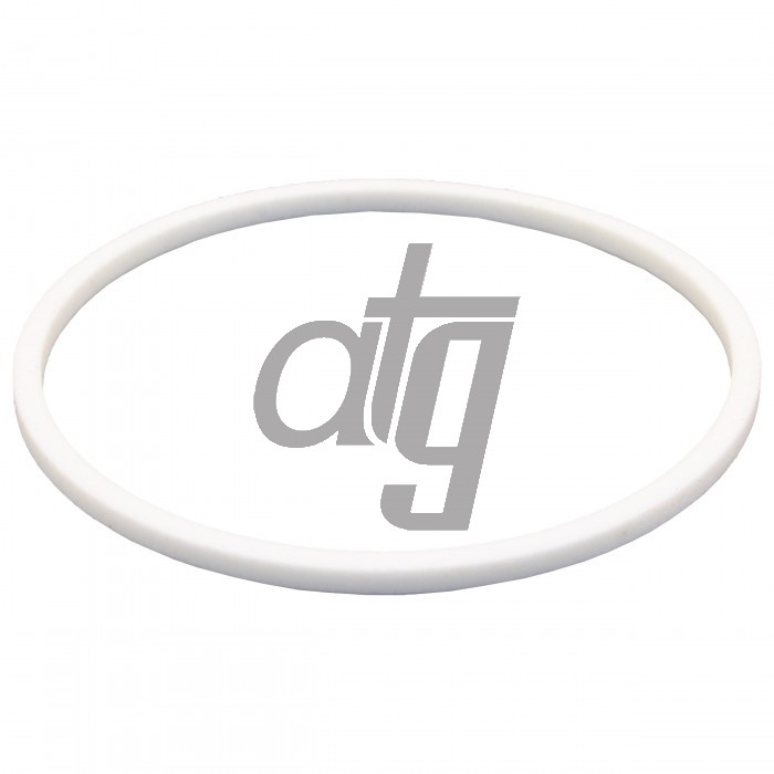 PTFE ring