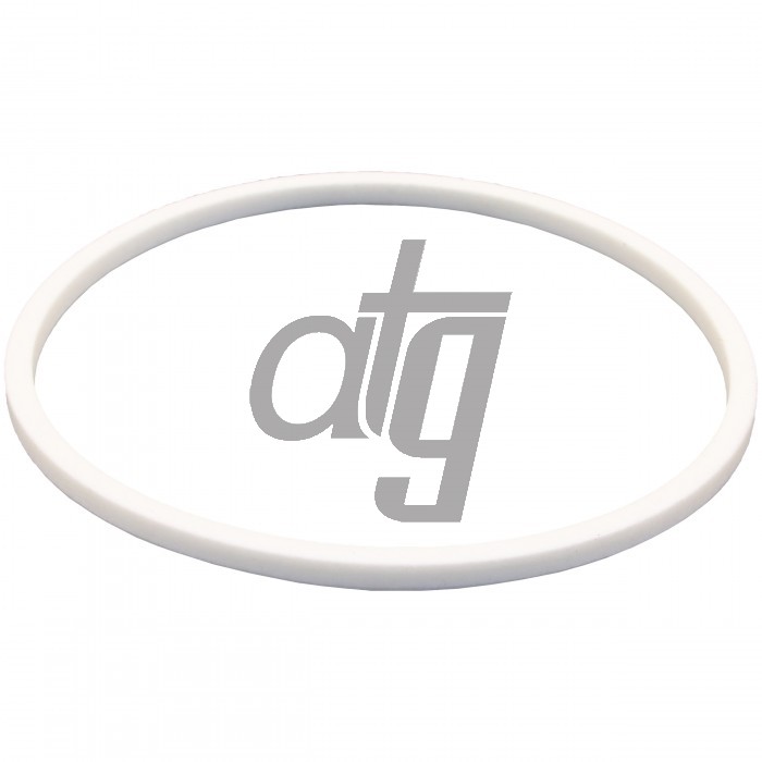 PTFE ring
