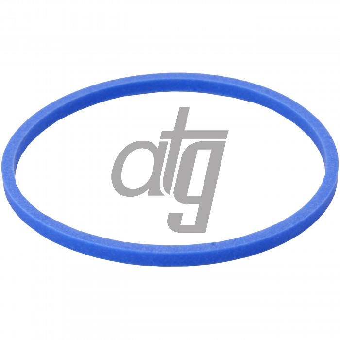 PTFE ring
