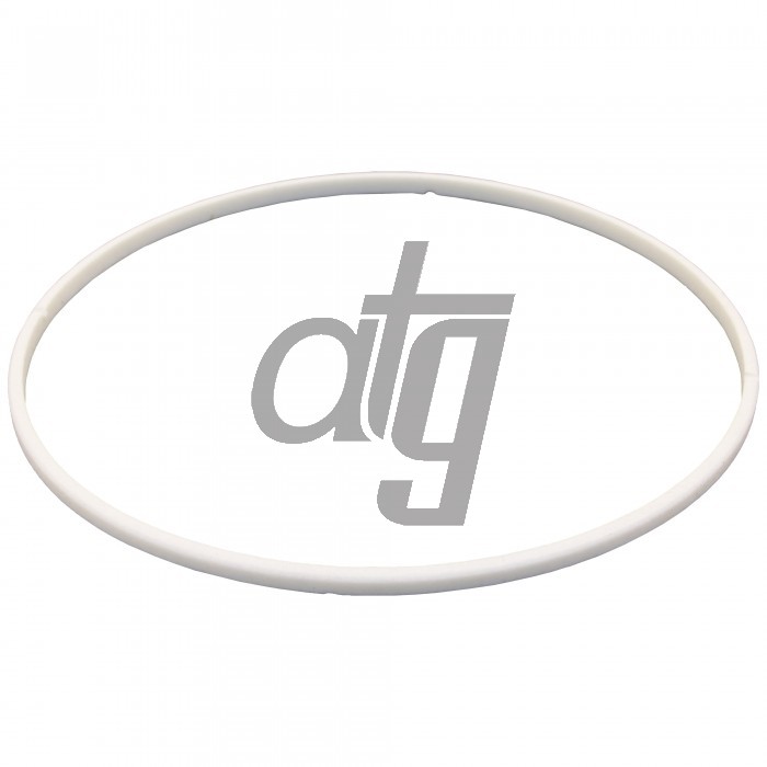 PTFE ring
