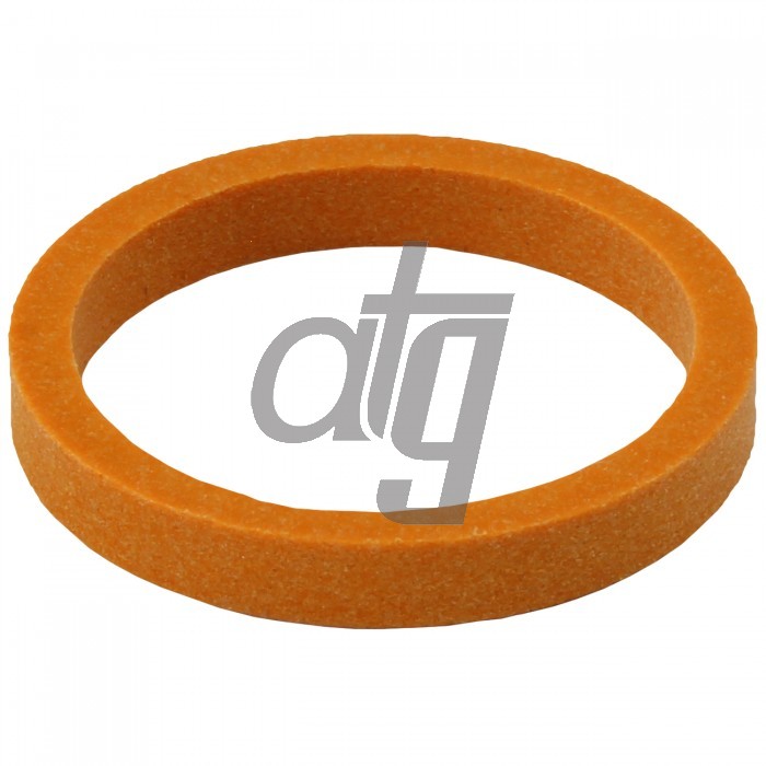 PTFE ring