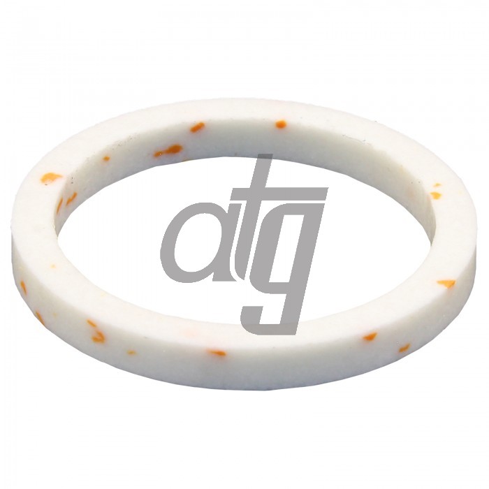 PTFE ring