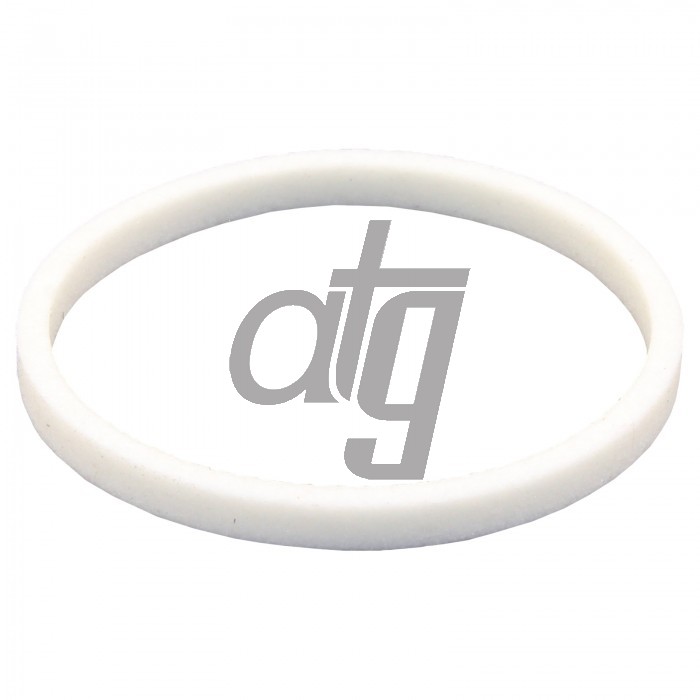 PTFE ring