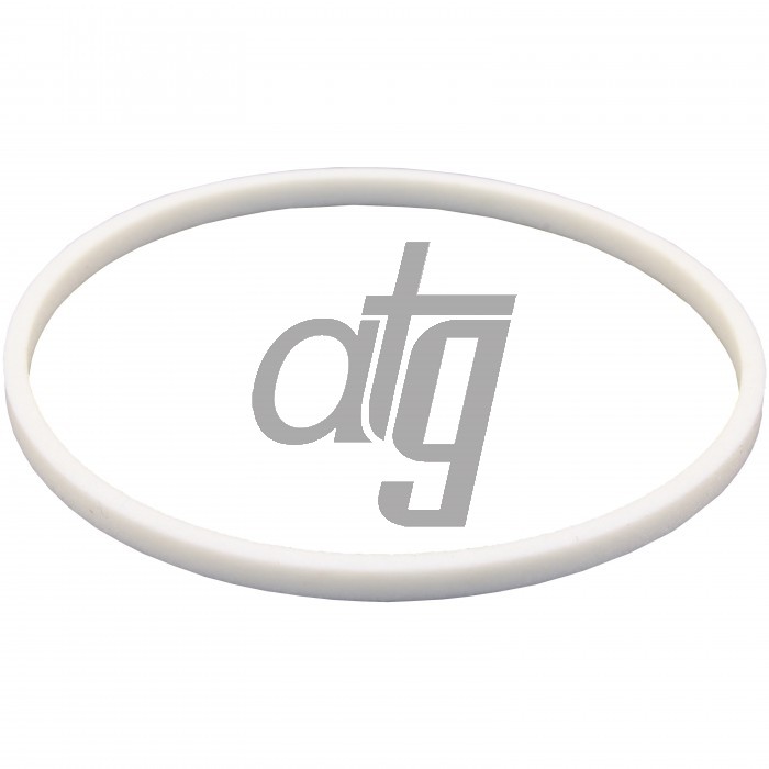 PTFE ring