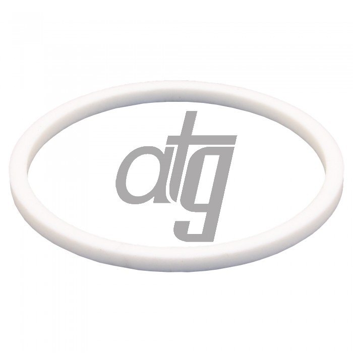 PTFE ring