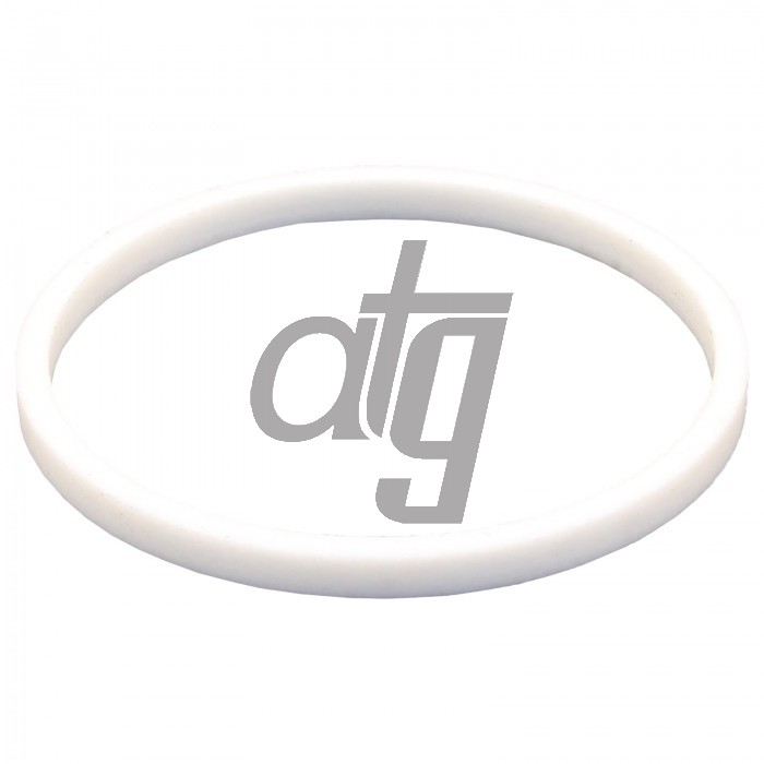 PTFE ring