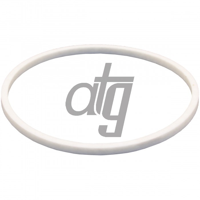 PTFE ring