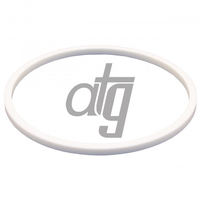 PTFE ring
