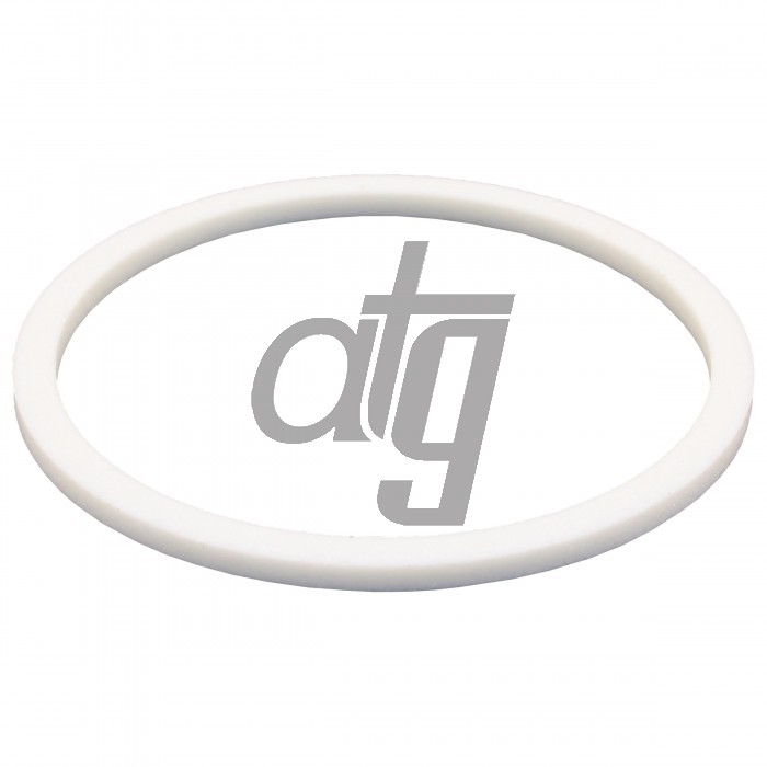 PTFE ring