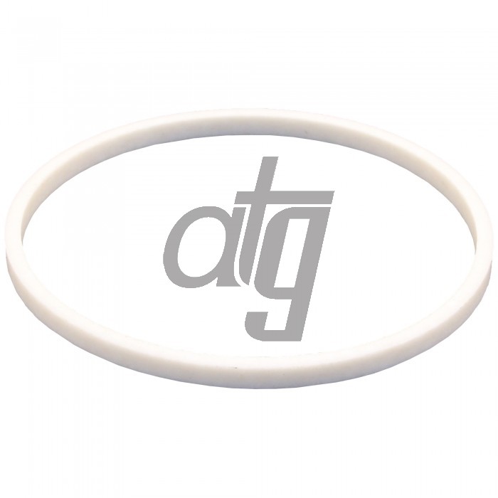 PTFE ring