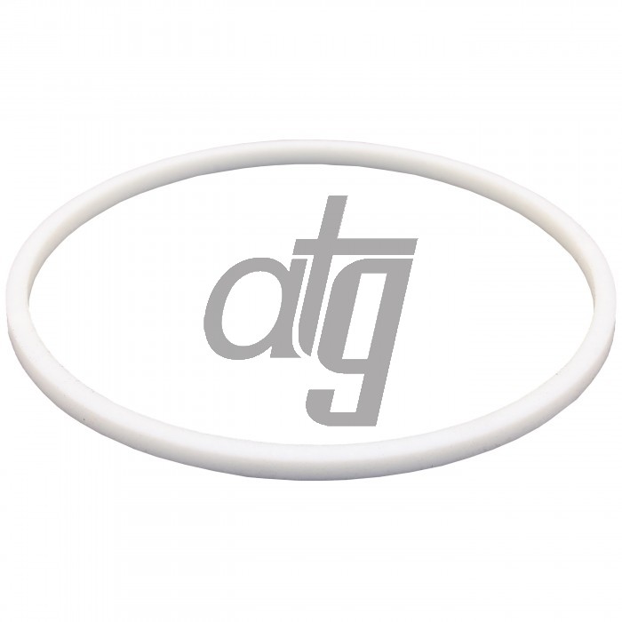 PTFE ring